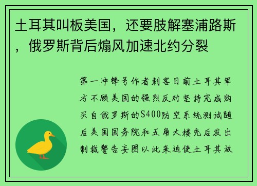 土耳其叫板美国，还要肢解塞浦路斯，俄罗斯背后煽风加速北约分裂